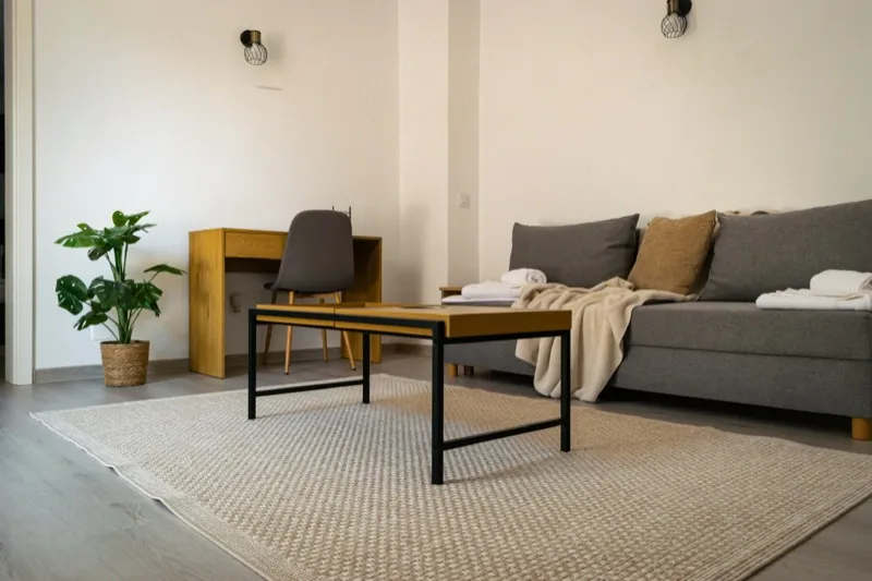 Apartament cu 2 camere și living separat — Pensiunea Ramedal Calafat